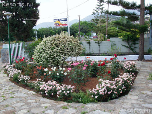 Creta Solaris Hotel Apartments 30